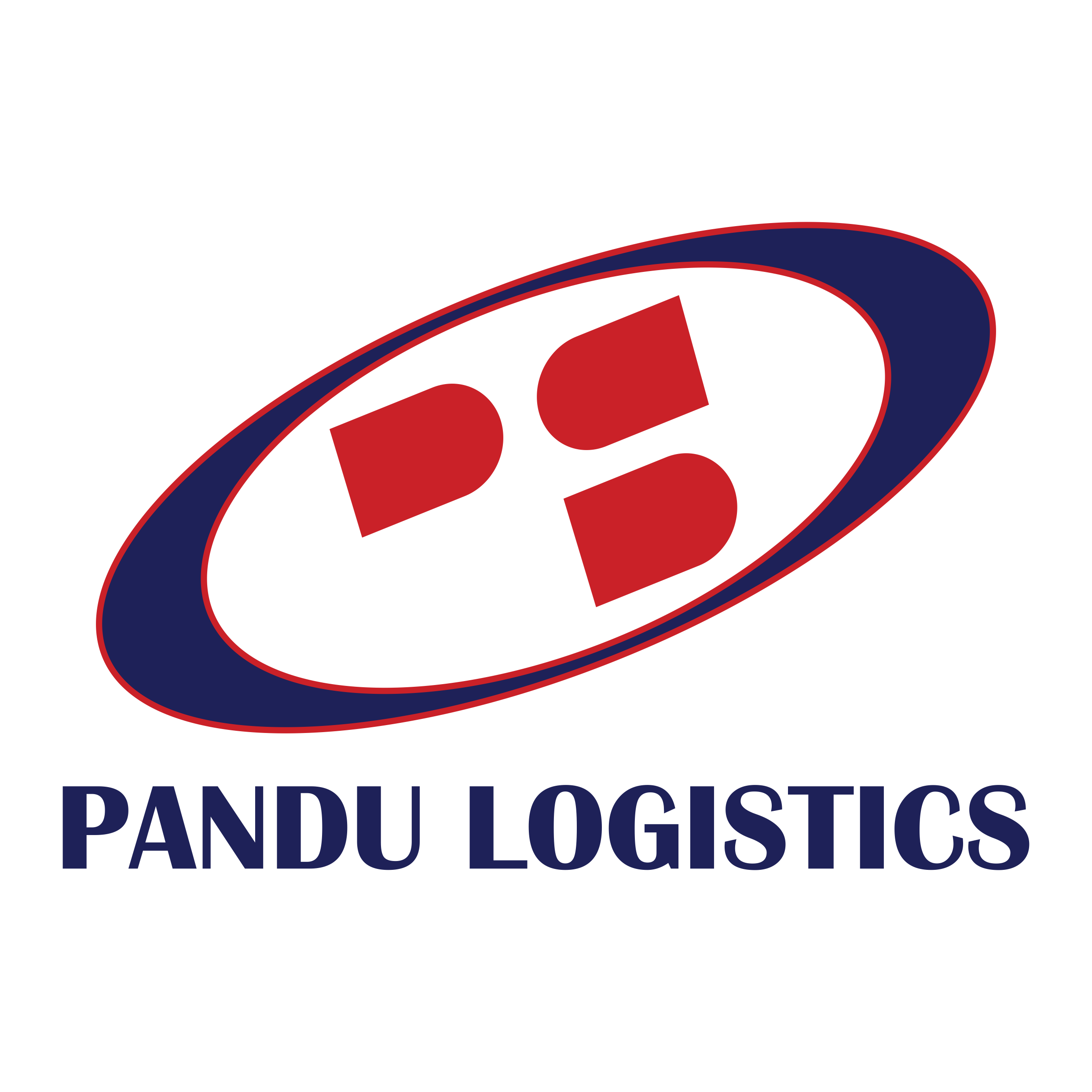 pandu-logistics.png